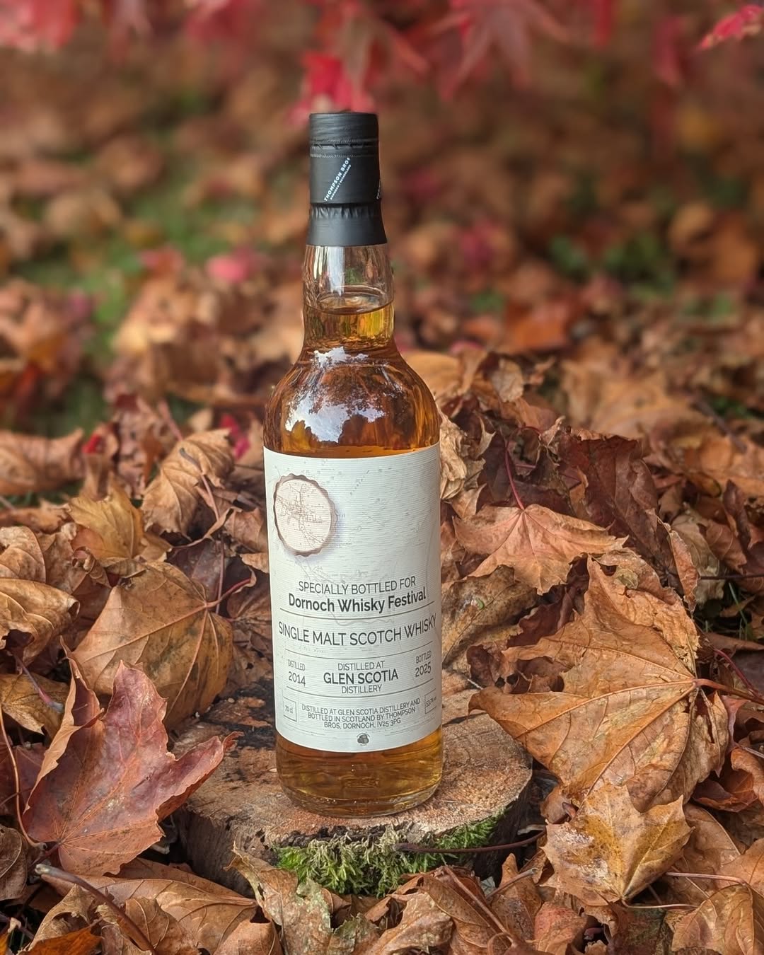 Glen Scotia 10yo Campbeltown Single Malt Bottled for Dornoch Whisky Festival 2025  (70cl, 53.7%) Glen Scotia